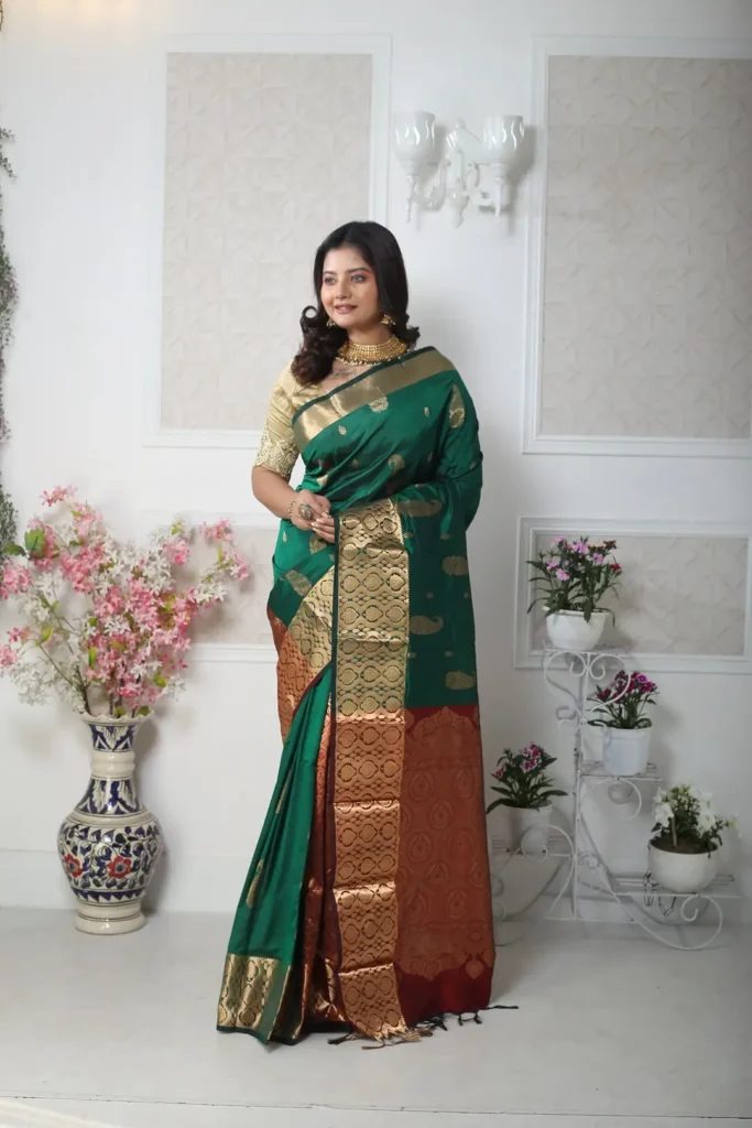 Classic Saree Elegance